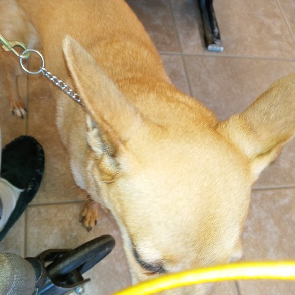 @luckygirl1609 Come & join Everyone is welcome💖 - Picture 13 of 16